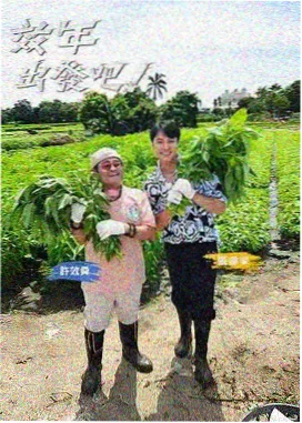 厨房考古慢综艺模式分析配图
